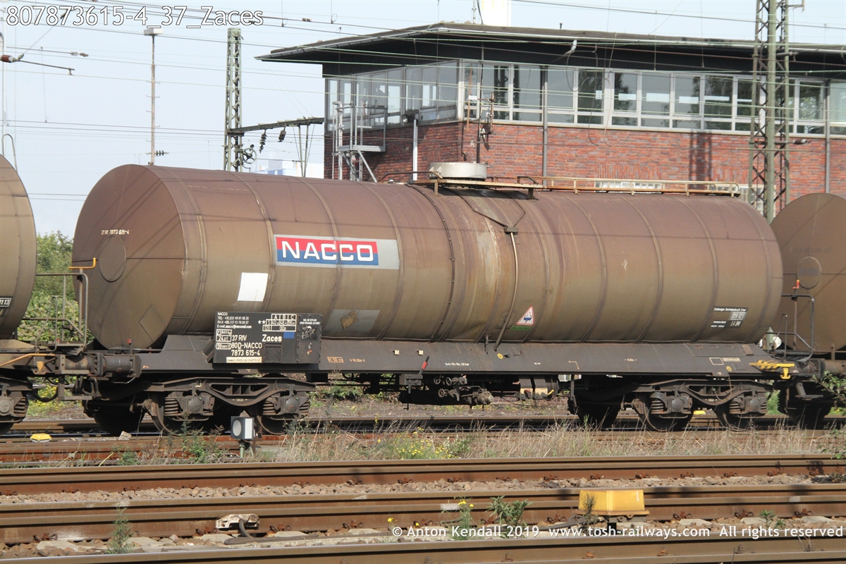 807873615-4_37_Zaces.JPG